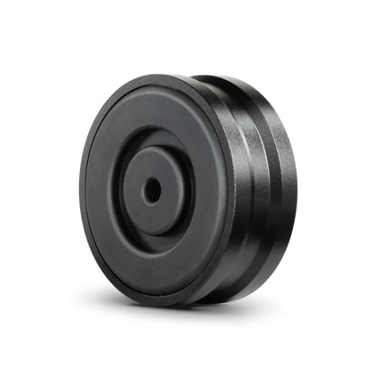 MoFi Electronics Super Heavyweight Champion Record Weight