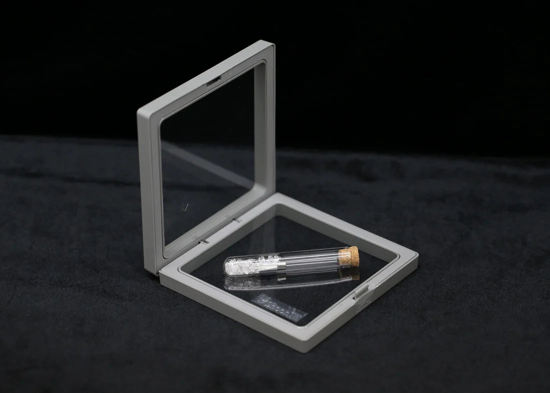 ShoonTH Exploring Fuse (5x20mm) 舜仕冷凍Fuse