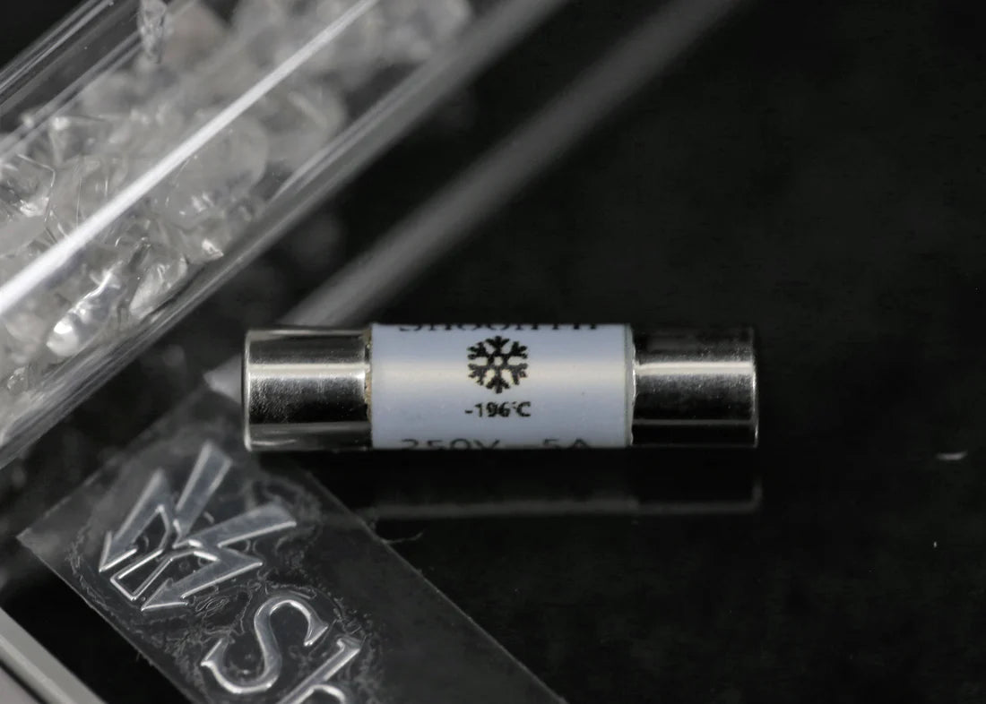 ShoonTH Exploring Fuse (5x20mm) 舜仕冷凍Fuse