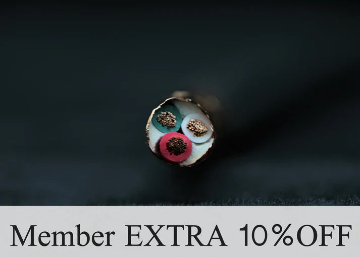 [電源散線] SAEC AC-6000