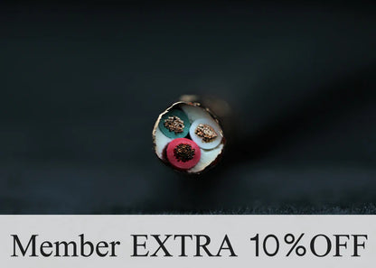 [電源散線] SAEC AC-6000