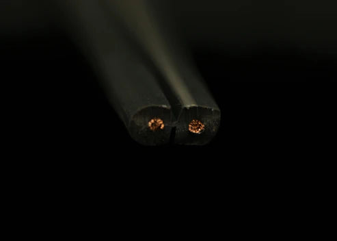 [喇叭散線] Audioquest G2