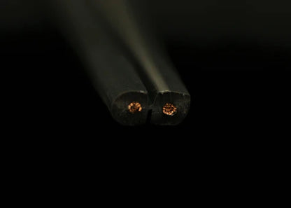 [喇叭散線] Audioquest G2