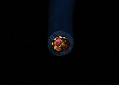 [訊號散線] Gotham 11301