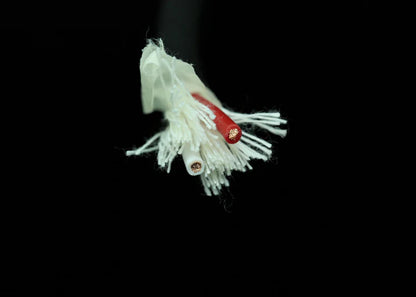 [電源/喇叭散線]SAEC AC-3000