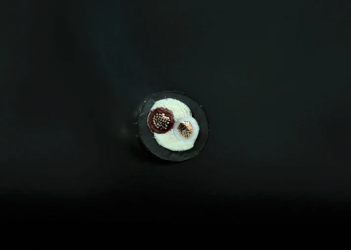 [電源/喇叭散線]SAEC AC-3000