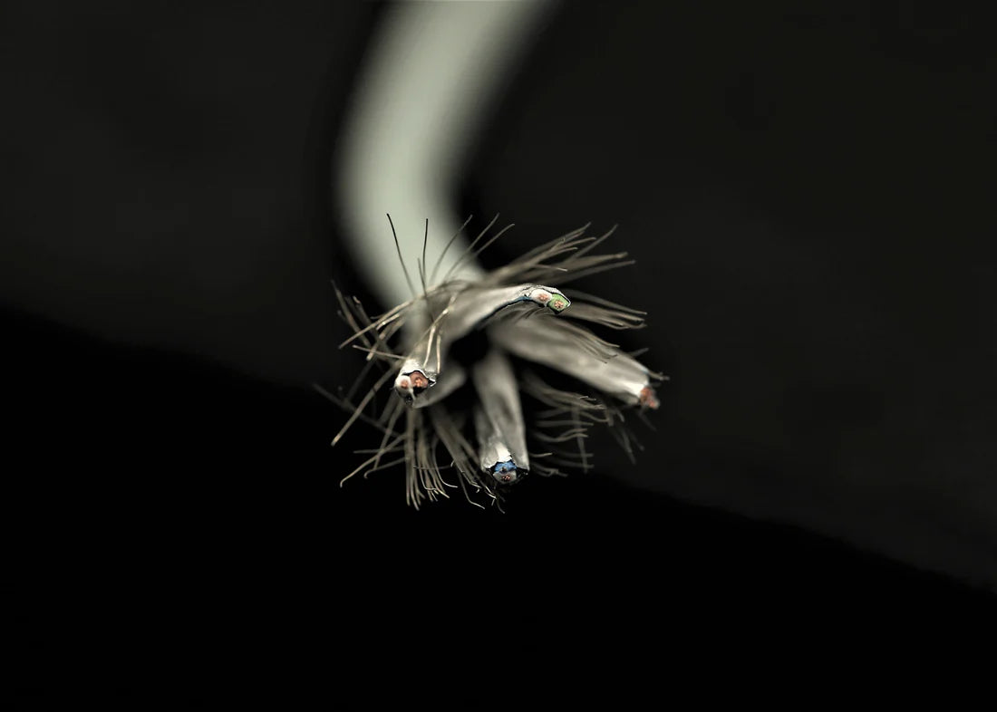 [LAN散線] SUPRA CAT 8