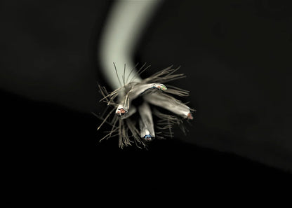 [LAN散線] SUPRA CAT 8