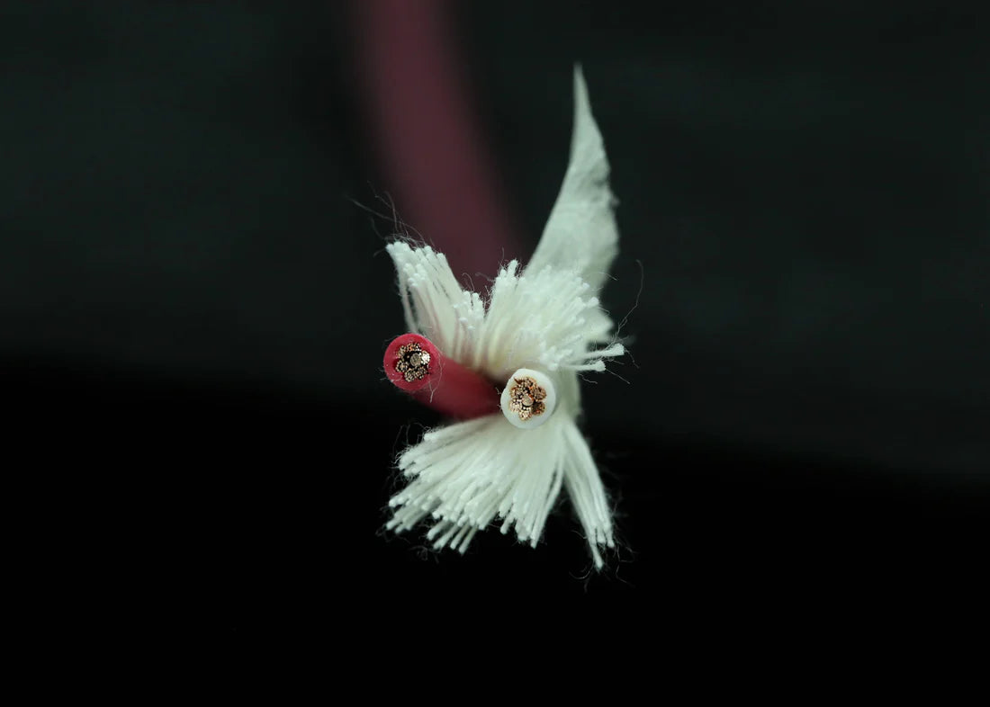 [喇叭散線] SAEC SPC-850 PC-Triple C