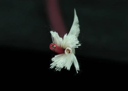 [喇叭散線] SAEC SPC-850 PC-Triple C