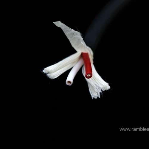 [電源/喇叭散線]SAEC AC-3000