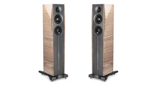 GOLD NOTE A6 EVO II 落地式喇叭