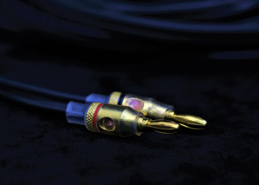 Audioquest G2 Speaker Cable