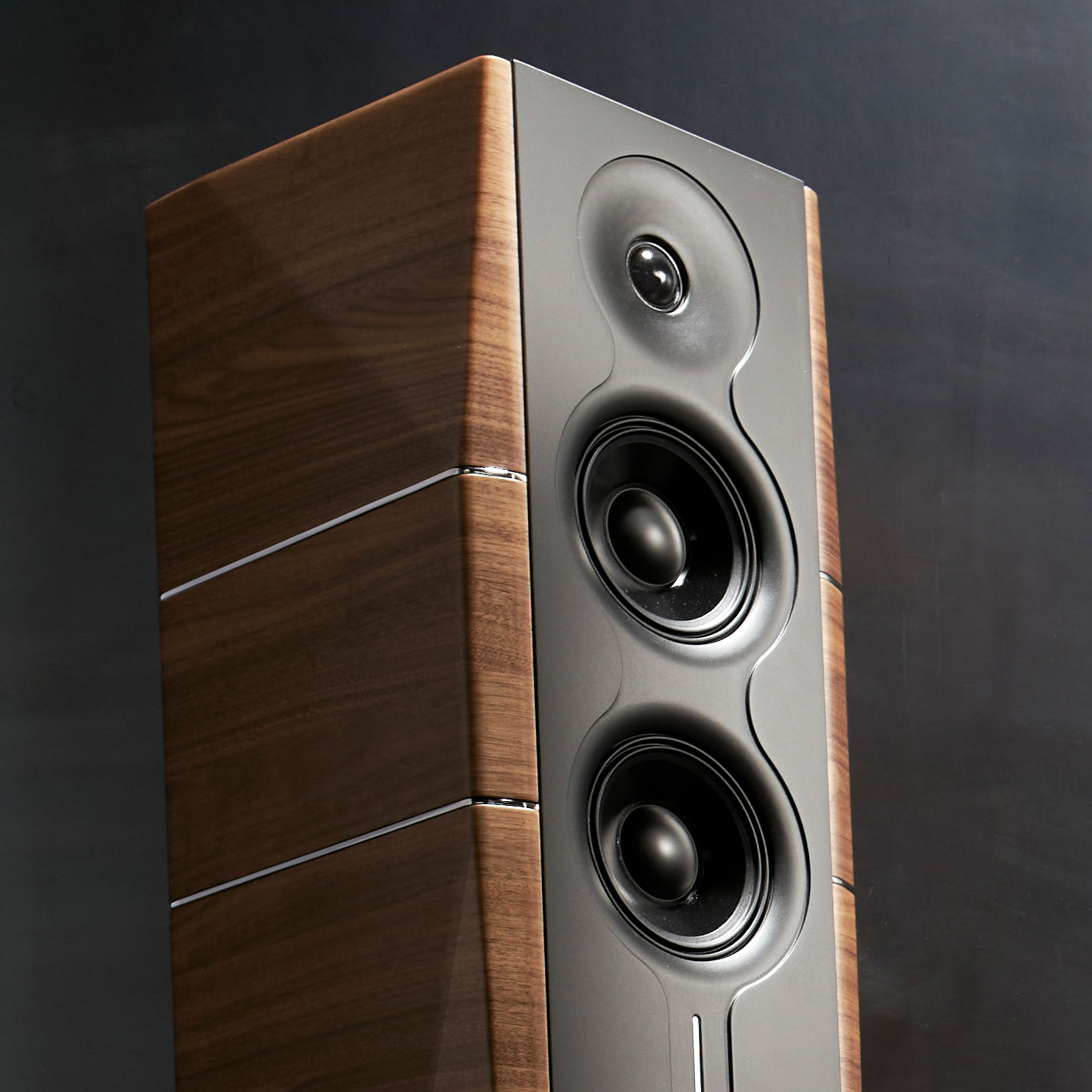 GOLD NOTE A6 EVO II 落地式喇叭