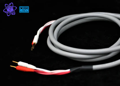 CANARE 4S11G Speaker Cable 冷凍版