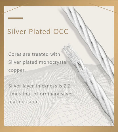 Exact Express Earth Power Cord [Deluxe Edition]