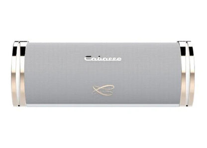 Cabasse The Swell - Portable HiFi Speakerv